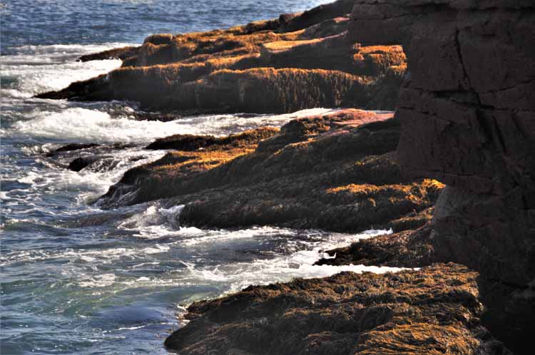 rocky shoreline